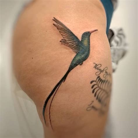 doctor bird tattoo